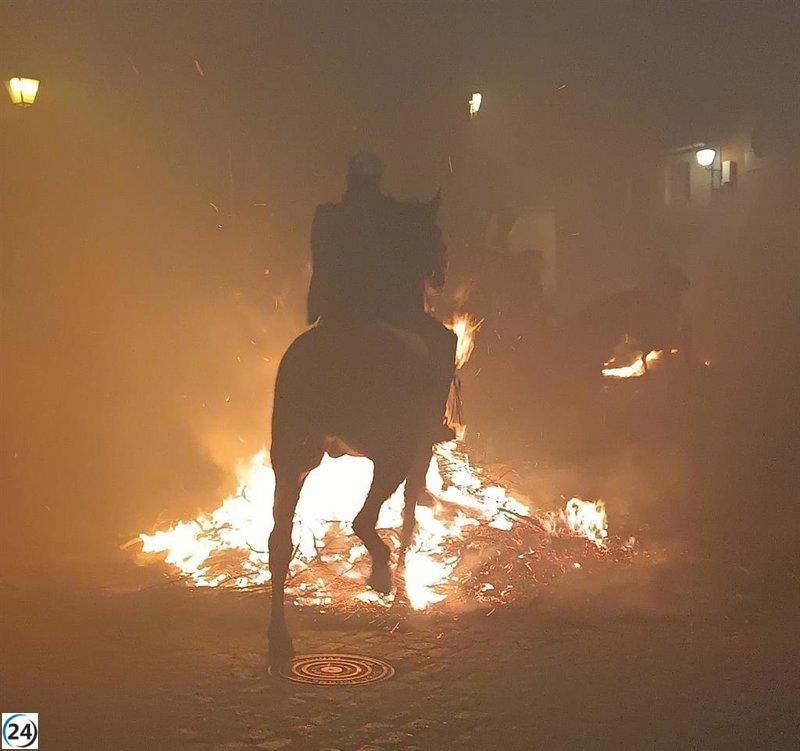 Las tradicionales Luminarias vuelven a iluminar San Bartolomé de Pinares en honor a San Antón.