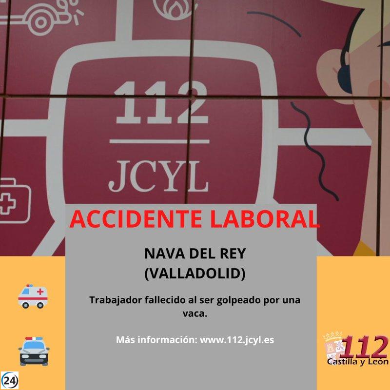 Trabajador fallece tras ser embestido por vaca en Nava del Rey