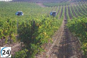 Itacyl se une a proyecto europeo para potenciar los paisajes vinícolas