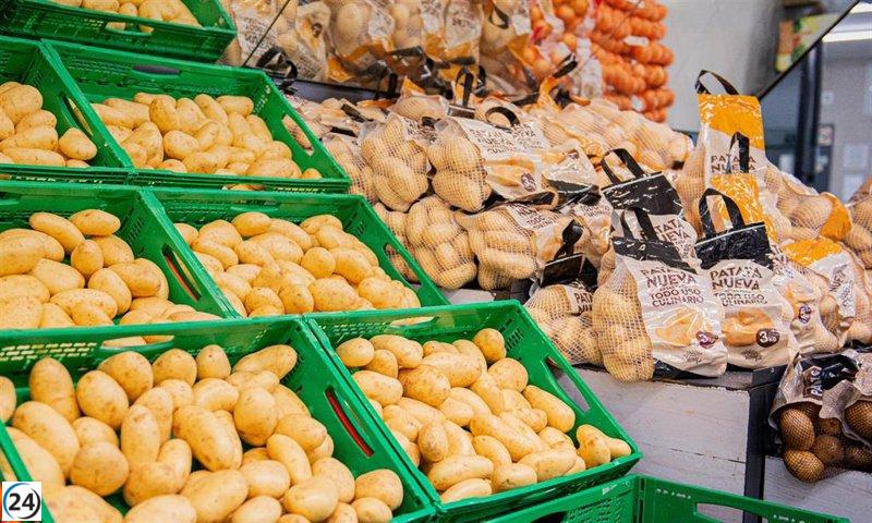 Mercadona planea adquirir grandes cantidades de patatas de origen nacional, incluyendo 35.000 toneladas de Castilla y León.