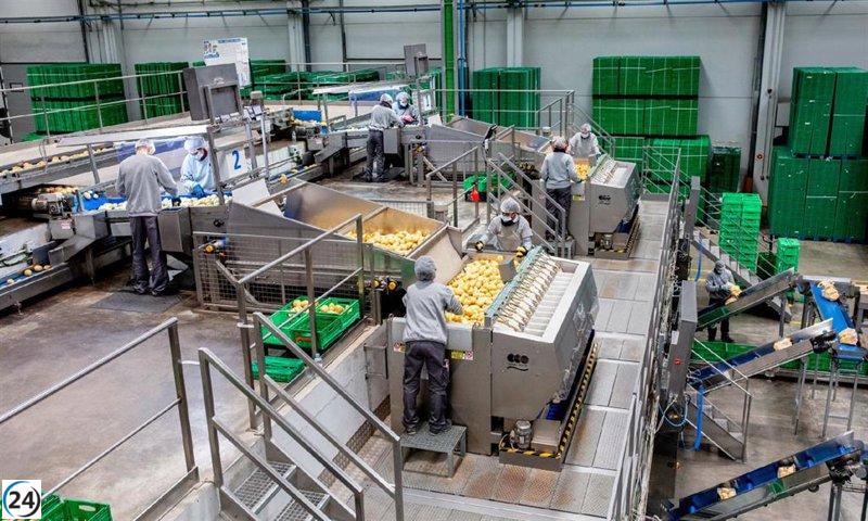 Mercadona adquiere productos de proveedores de Castilla y León por valor de 2.470 millones, incrementando un 17,3%