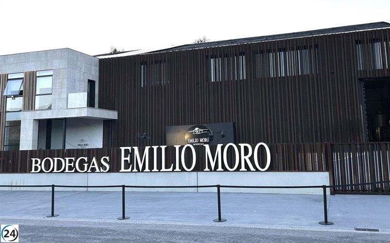 La bodega Emilio Moro se expande a El Bierzo con una producción de 300.000 botellas de godello.