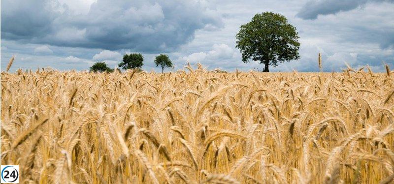 Gobierno destina 13,6 millones de euros para subvencionar seguros agrarios