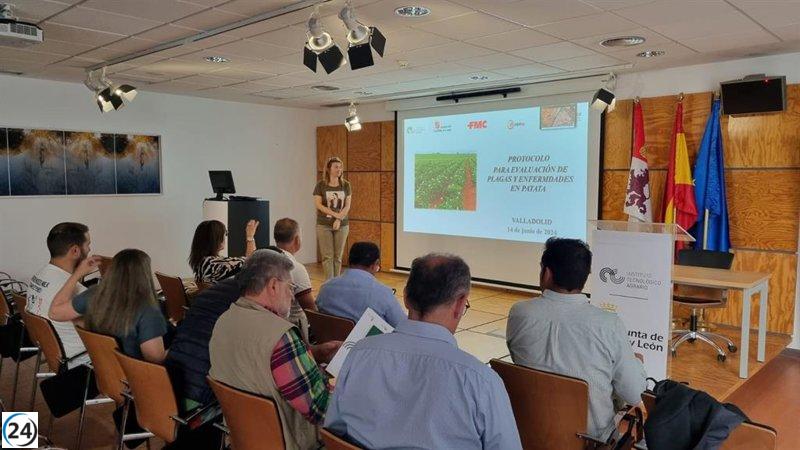 Itacyl se enfoca en la detección temprana de plagas en cultivo de patatas.