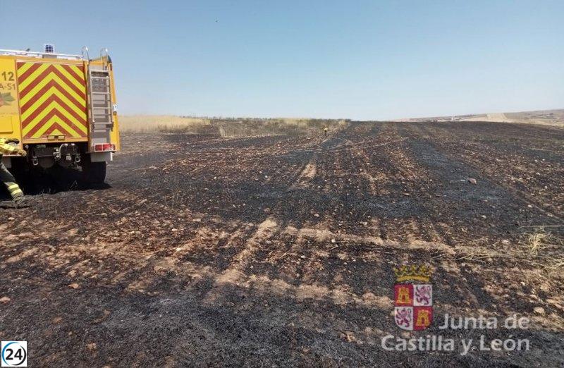 Medios de la Junta combaten 13 incendios en un solo día.