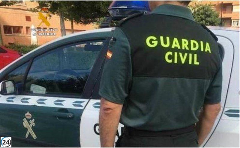 Arrestado por agredir a agentes en Nava del Rey durante festividades