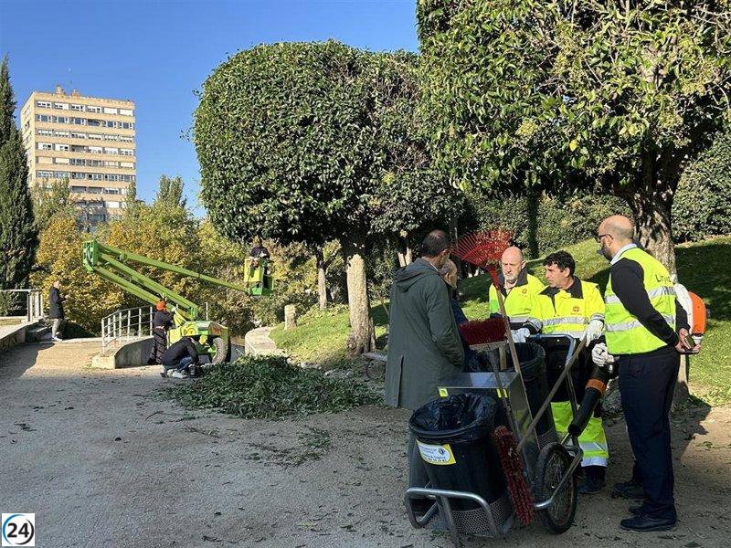 Valladolid: Ayuntamiento liderará labores de poda y recogida de hojas para garantizar limpieza.