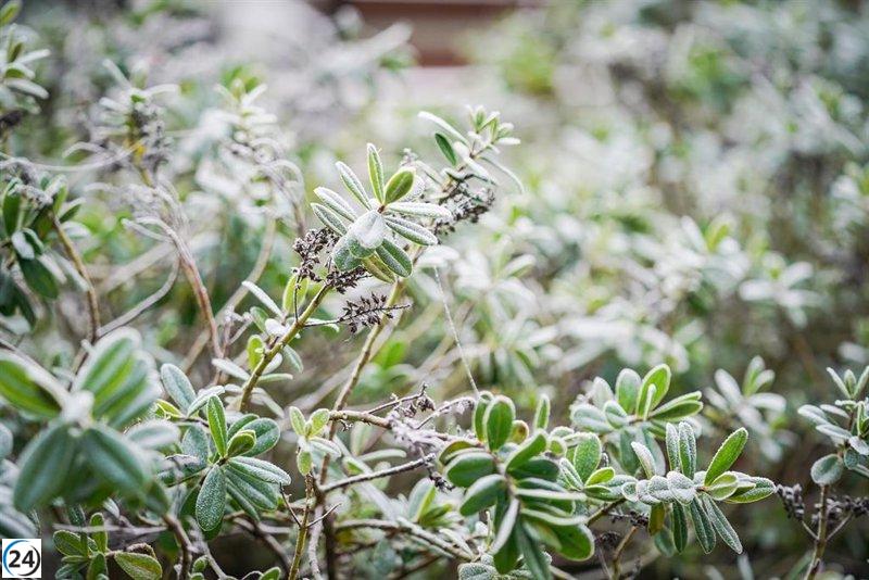 Castilla y León enfrentará el 2025 con alertas por nieblas y mínimas de -6°C.