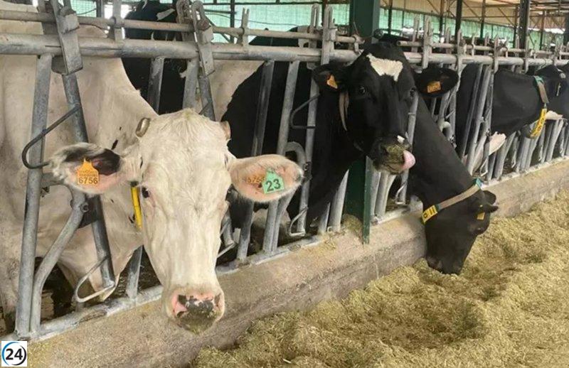 CyL pide cambios en la PAC para fortalecer al agricultor profesional.