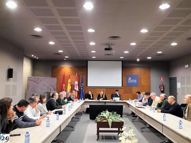 Junta y OPAs proponen caza nocturna y trampas para controlar la plaga de conejos en Cigales.