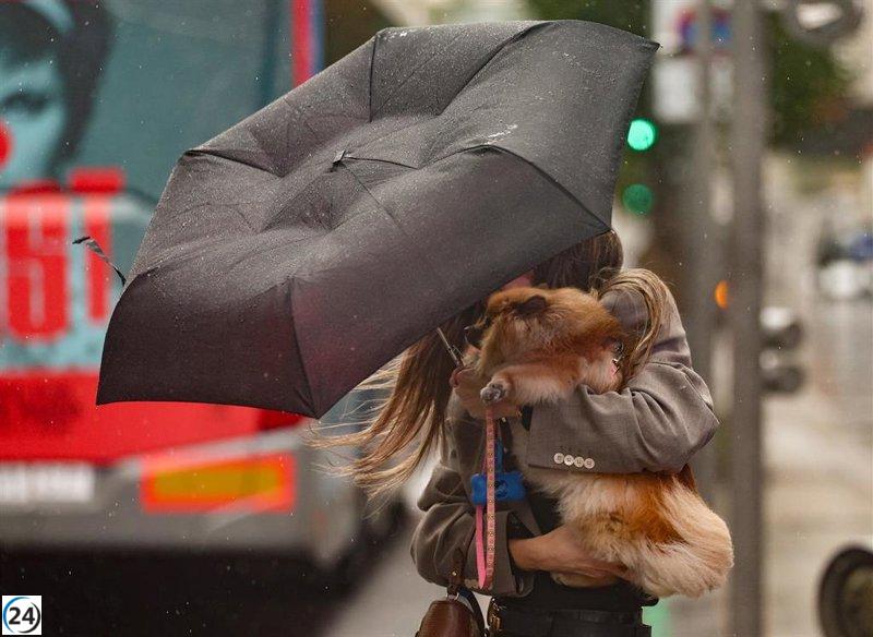 La tormenta 'Herminia' azota Castilla y León este lunes con alertas de viento, nieve y lluvia.