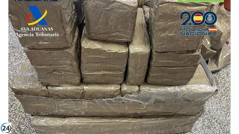 Capturan a dos en Burgos con 6 kilos de cocaína y 33 de hachís.