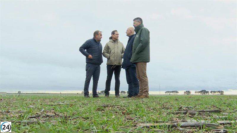 Agricultura anunciará mañana la convocatoria PAC 2025 y sugiere optar por la diversificación de cultivos.