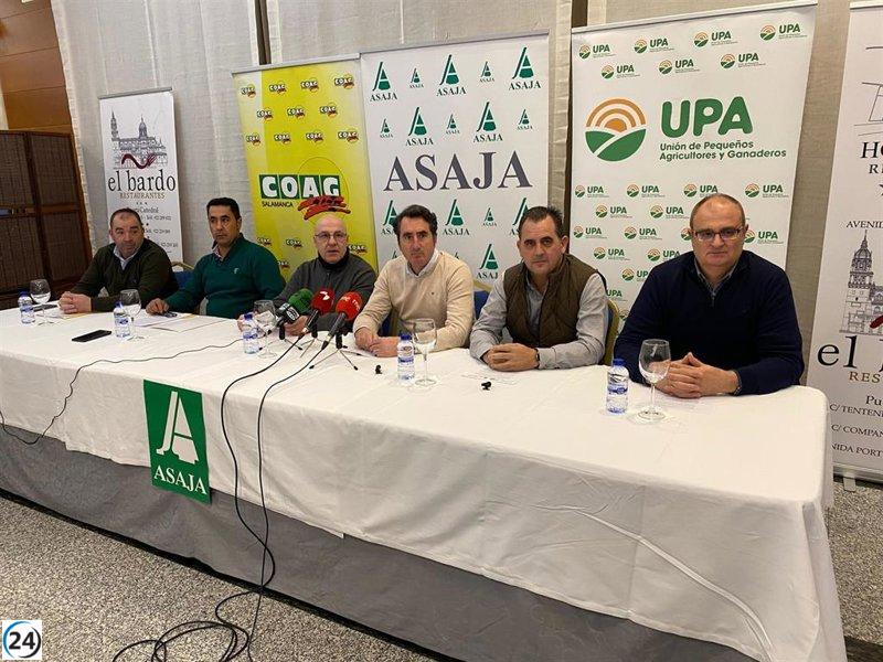 Apicultores en alerta ante posible implementación del Programa de Vigilancia Obligatoria.