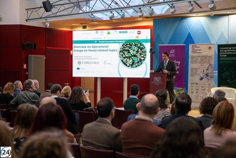 La Junta defiende en Bruselas la innovación forestal y la colaboración europea ante desafíos del sector.