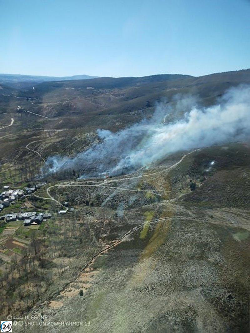 Incendios en Zamora, Ávila y Palencia: medios de extinción en acción.
