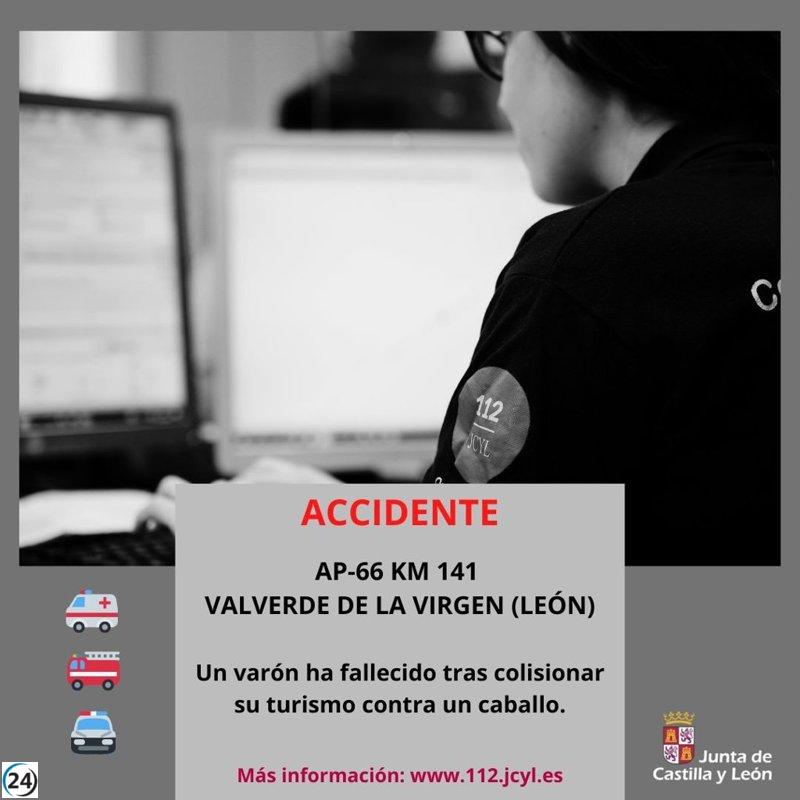 Accidente en la AP-66 en Valverde de la Virgen: un hombre fallece tras colisionar con un caballo.