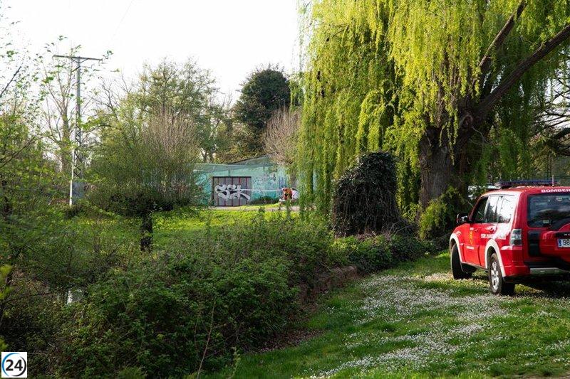 Reinician la búsqueda del joven que se perdió en el río Carrión.