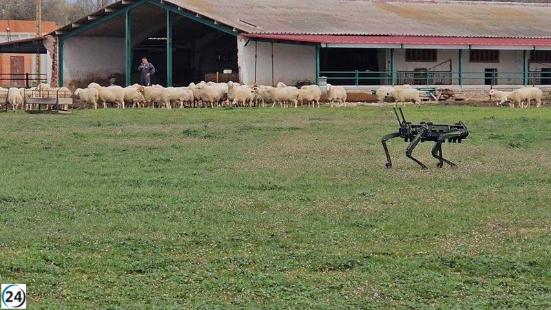 Crean en la ULE un innovador robot canino para el manejo de ganado.