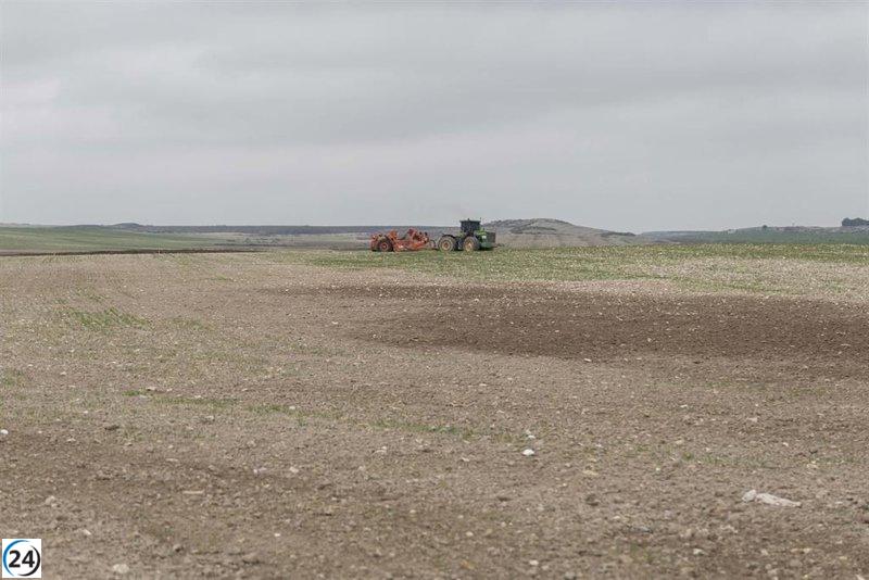 La Junta entrega 15 millones en subvenciones para jóvenes y modernización agrícola a 435 beneficiarios.