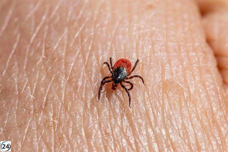 Fiebre hemorrágica de Crimea-Congo detectada en Salamanca, según la Junta.