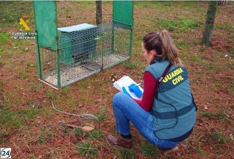 Dos residentes de Matapozuelos en Valladolid bajo investigación por la muerte de un milano real.