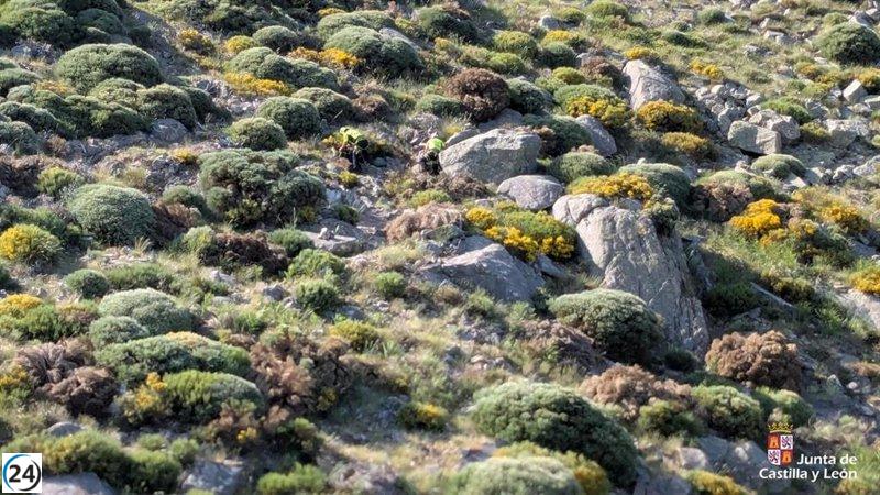 Hombre de 59 años es auxiliado tras desvanecerse en carretera de Piedralaves, Ávila.
