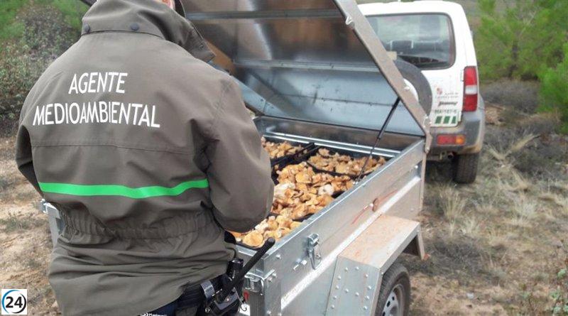 El IES Ramón y Cajal de Valladolid lanzará un nuevo Grado Superior en Educación Ambiental.