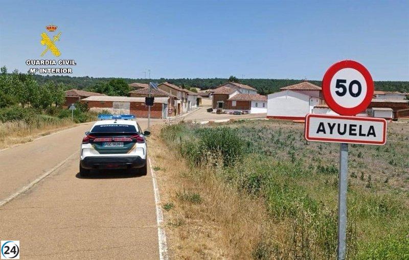 Dueño de perros bajo investigación por la muerte de otro can en Ayuela (Palencia)