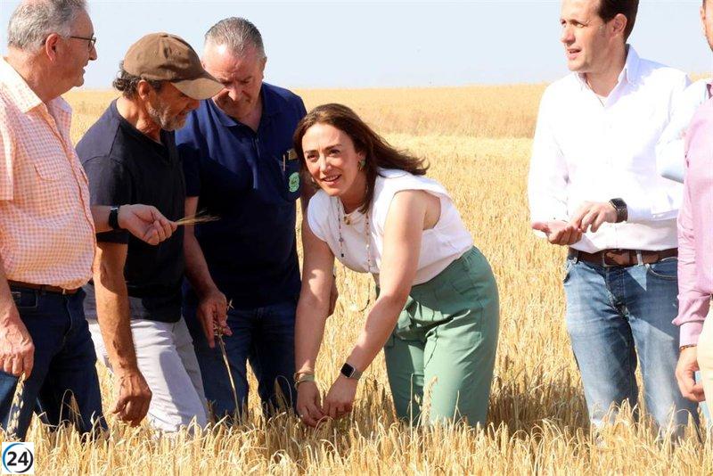 Castilla y León prevé una cosecha récord de 8,12 millones de toneladas.