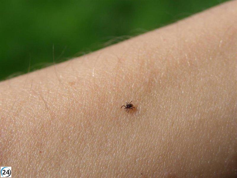 Salamanca reporta caso de fiebre hemorrágica Crimea-Congo: hombre de 63 años es llevado a Madrid.