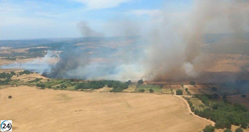 Cerca de 30 aeronaves y unidades terrestres luchan contra incendio en Castillejo de Martín Viejo, Salamanca.