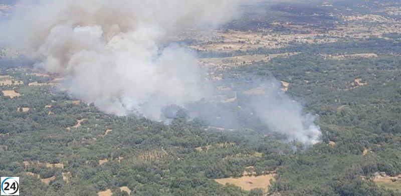 Cerca de 50 medios combaten incendio de gravedad 2 en Navaluenga, Ávila.