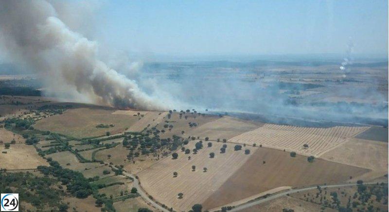El fuego en Castillejo consume cerca de 100 hectáreas en Salamanca.