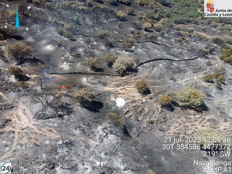 Incendio forestal en Navaluenga (Ávila) vuelve a cobrar fuerza.