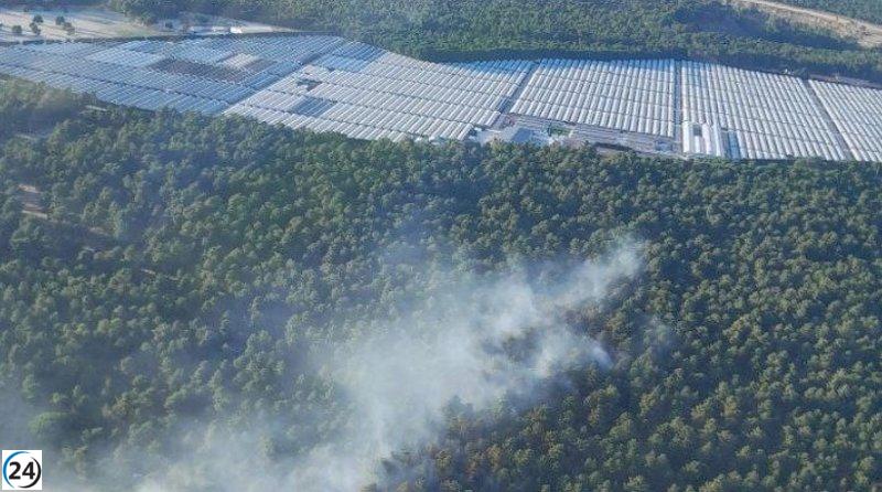 Incendio en Coca (Segovia) bajo control tras alcanzar nivel 1 el jueves por la tarde.