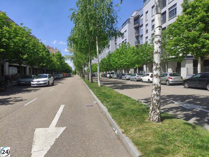 Corte de luz afecta a 700 residentes en Pinar de Jalón tras fallo en puente eléctrico.