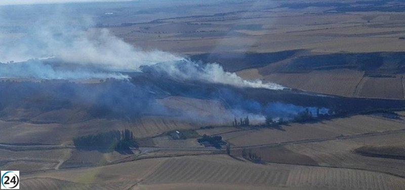 Incendio en Castrodeza (Valladolid) sofocado tras devastar más de 40 hectáreas de tierras agrícolas.
