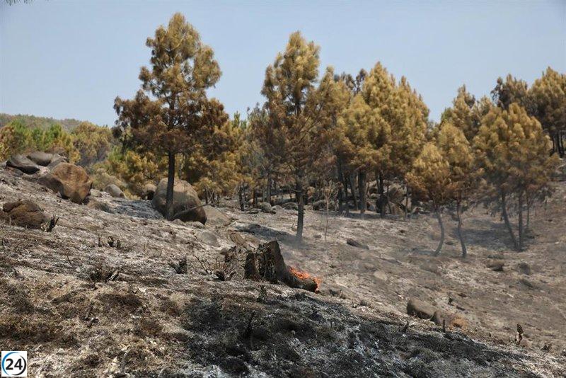 Castilla y León activa alerta de incendios forestales del 9 al 12 de agosto.