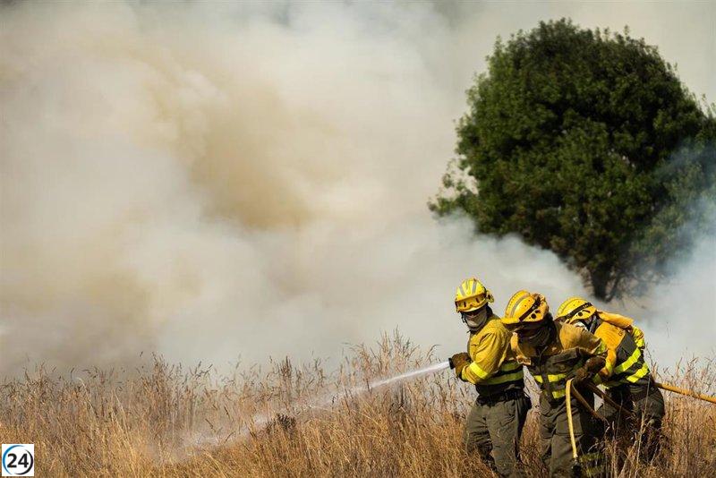 Ocho incendios activos en León, Ávila, Zamora y Palencia, con cuatro en estado grave.