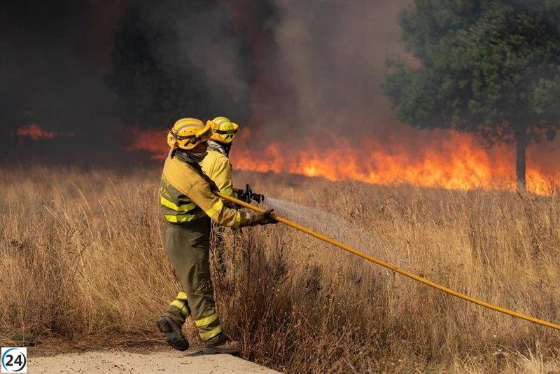 Expertos advierten sobre un día 