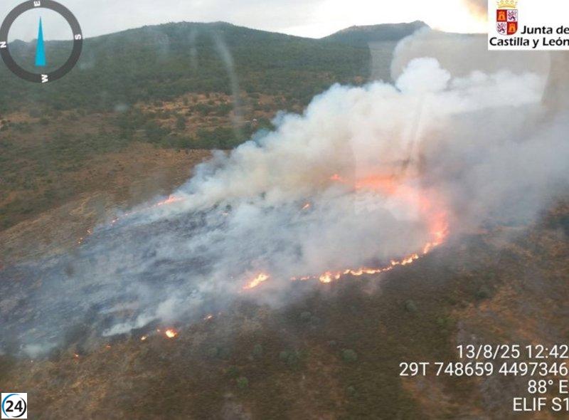 Incendio forestal en La Bastida (Salamanca) extinguido.