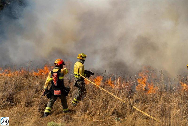 Incendio de nivel 2 declarado en Canalejas, Almanza (León)