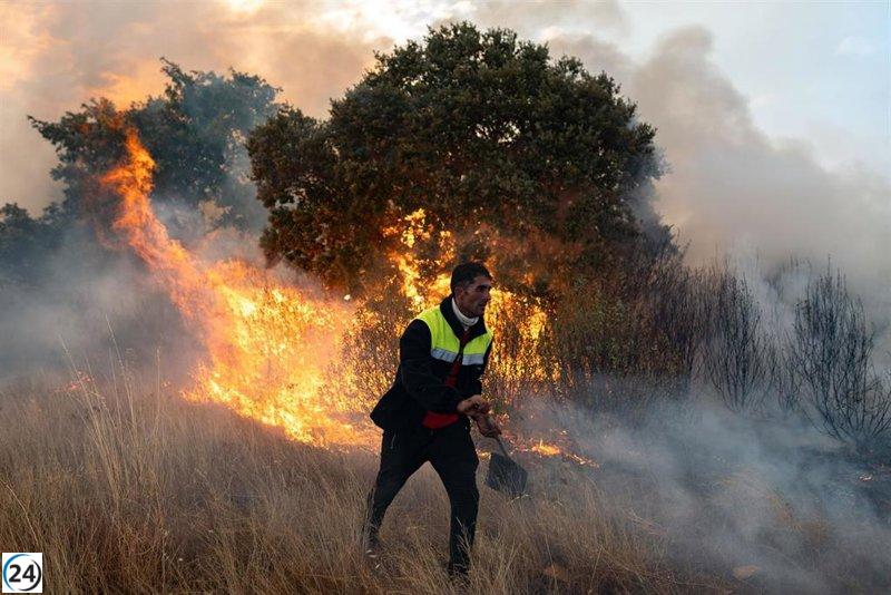 Incendio de gravedad 1 desatado en Mahíde (Zamora) con avance vertiginoso.