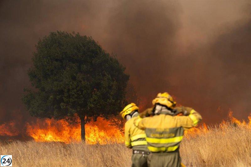 La oposición respalda la aparición de Mañueco ante los incendios, mientras el PP aboga por un enfoque constructivo.