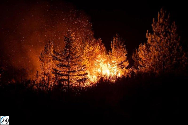 Incendio de nivel 1 declarado en Moronta, Salamanca.