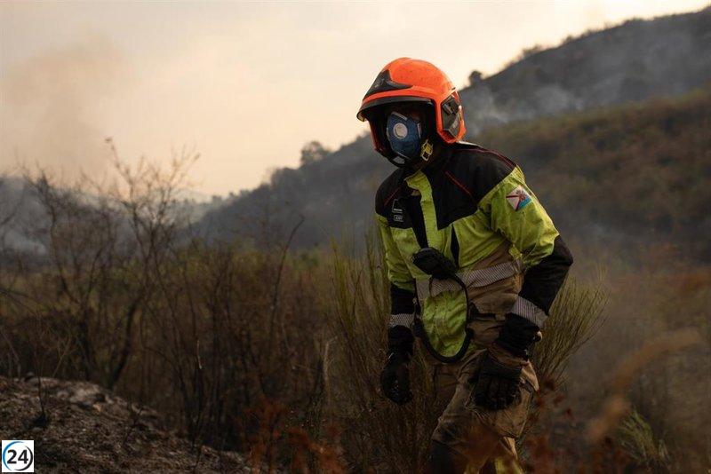 CSIF denuncia que la Junta minimiza la gravedad de los incendios sin base técnica para generar una 