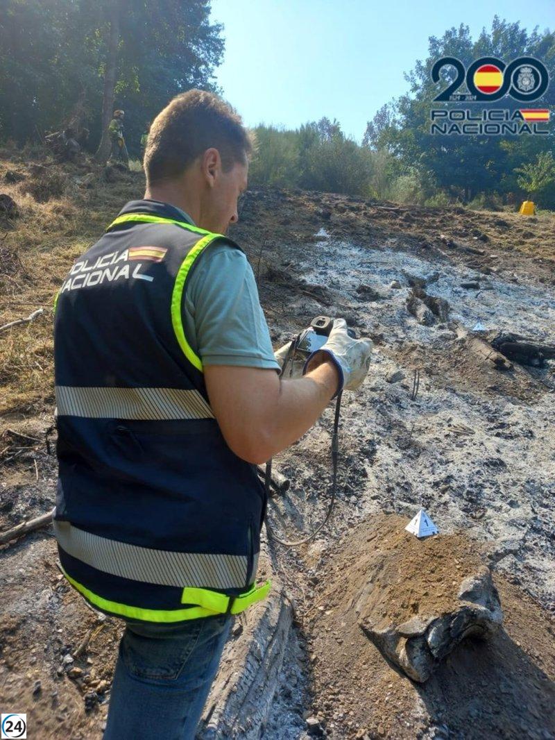 Arrestan a un residente de Bouzas (León) por iniciar un conato de incendio al quemar restos de cultivos.