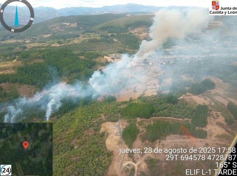 Cuatrocientos evacuados en Berlanga del Bierzo por incendio provocado de grado 2.