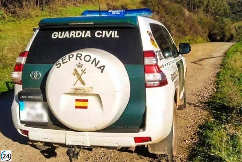 Rottweiler mestizo ataca a mujer y su perro en Laguna de Valladolid.